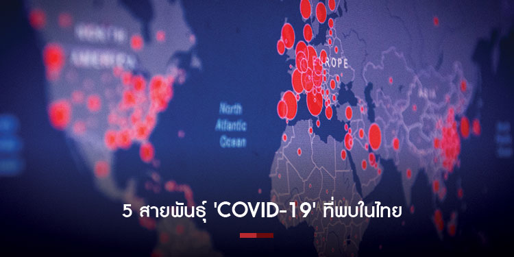 5 สายพันธุ์ Covid-19 ที่พบในไทย